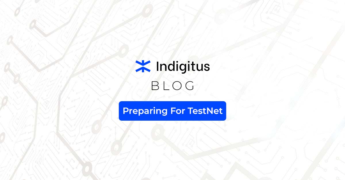 Featured image for “Preparing For TestNet of Indigitus”